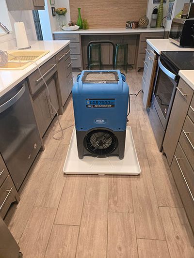 Water damage cleanup